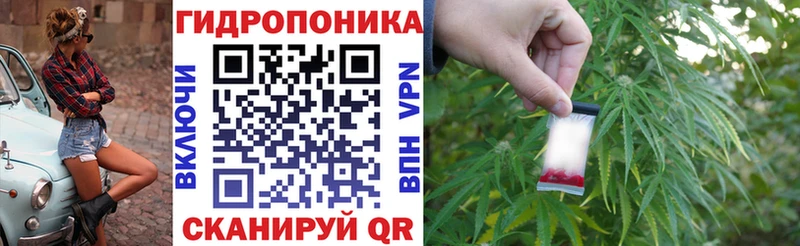 где купить наркоту  Корсаков  Канабис MAZAR 